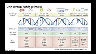 Introspections and Deliberations in Gynecologic Oncology INDIGO  Understanding HRD Testing [upl. by Eiboj]