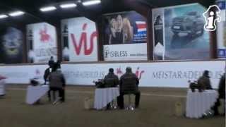 Meistaradeild V1  31012013  wwwisiblessde [upl. by Alten]