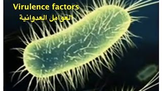 microbial virulence factors  العوامل العدوانية للميكوبات والبكتريا [upl. by Rivi]