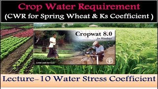 CropWAT 80 CWR of Spring Wheat amp Water Stress Coefficient 10 [upl. by Attolrahc]