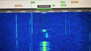 28135 MHz FM Russian Taxi Radio Dispatcher “Olga” Operating In 10 Meters G8JNJ SDR 10042024 [upl. by Slaughter]