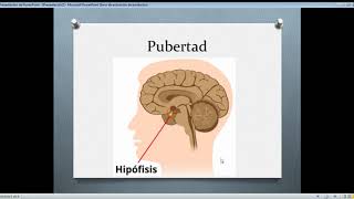 Caracteres primarios y secundarios Pubertad [upl. by Shaver45]