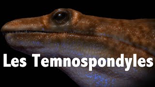 Les Temnospondyles [upl. by Lewap]