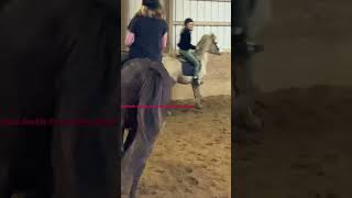 Horsey post p  horse equestrian shorts trending [upl. by Drusie]