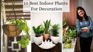 10 Best Indoor Plants For Decoration  Low Maintenance Air purifying Houseplants [upl. by Zelazny455]