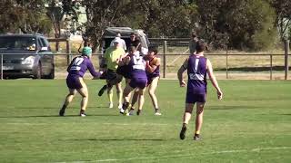 LVFNL RD2 2024 Inglewood vs Bears Lagoon Serpentine [upl. by Ernesto769]