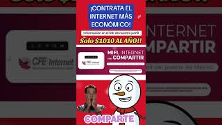 Contrata el Internet más económico que existe gracias al Internet de Bienestar [upl. by Brause987]