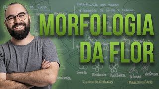 Organologia da Flor Morfologia  Aula 18 Botânica Prof Guilherme [upl. by Harikahs260]