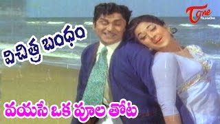 Vichitra Bandham Movie Songs  Vayase Oka Poolathota Video Song  ANR Vanisri [upl. by Ailasor]