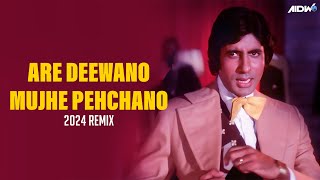 Are Deewano Mujhe Pehchano Remix  Don  Amitabh Bachchan amp Zeenat Aman  Kishore Kumar [upl. by Savinirs241]