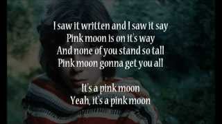 Nick Drake  Pink Moon Lyrics [upl. by Earased]