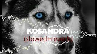 Kosandra slowedreverbed song attitude carsongs slowedandreverb [upl. by Irehc]