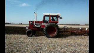 IH 1568 Black Stripe plowing [upl. by Nerehs396]