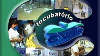 CVale incubatóriompg [upl. by Lehcear]