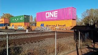 Southbound NS Intermodal train [upl. by Nodle]