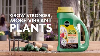 How to Grow Stronger More Vibrant Plants Using MiracleGro® Shake n Feed® Plant Food [upl. by Mears]