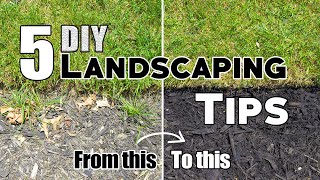 5 Cheap amp Easy DIY Landscaping Tips amp Ideas Plus Bonus Tips 🌱 [upl. by Itsirk]