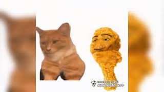 everyday Im shuffling with mewing cat and chicken nuggets lmfao party rock anthem [upl. by Allistir]