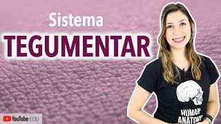 Sistema Tegumentar 14 Introdução  Anatomia etc [upl. by Renrag]