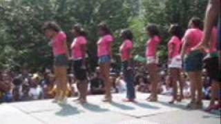 Atlanta Greek Picnic 2008 Stroll Off  Alpha Kappa Alpha AKA [upl. by Deeraf454]