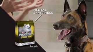 Purina® Pro Plan® Nutrition that Performs® [upl. by Nanahs]