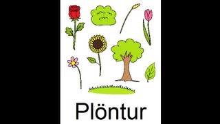 Icelandic Lesson 41 Plants  Singular and Plural Pronunciation [upl. by Holland]