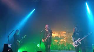 New Model Army  1984 live Gdańsk 11032024 [upl. by Swords787]