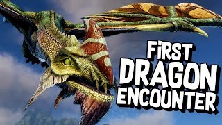 DRAGON FIGHTING A KANGAROO  Dark and Light Gameplay [upl. by Enimzaj239]