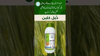 Solex cutout weedicide Solex double clean weedicide Solex chemicals multan increase wheat yield [upl. by Felder583]