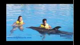 Dolphin Swim and Ride  Dolphinaris [upl. by Oby21]