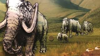 Yukon Beringia Interpretive Centre the story of Beringia and the Ice Age Meet Giant Woolly Mammoth [upl. by Kattie]