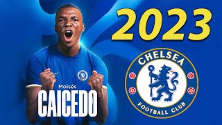 Moisés Caicedo 2023 ● Welcome to Chelsea 🔵🇪🇨 [upl. by Saturday]