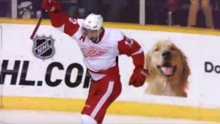 Pavel Datsyuk FULL NHL Career Highlights 20012016 [upl. by Rennie614]