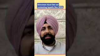 Shiromani Akali Dal not contesting bypolls Nov 2024 punja punjabi [upl. by Cecilio]