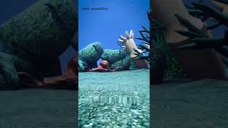 Octopus limb regrowth 😱 facts science shorts knowledge gk [upl. by Arol]