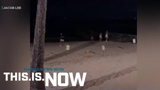 Video shows beachgoers getting too close to monk seals at Kaimana Beach [upl. by Westmoreland158]