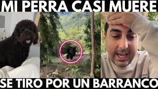 MI PERRA CASI MUERE SE TIRÓ DE UN BARRANCO  VLOG 275  Alejandro Gil [upl. by Alakam]