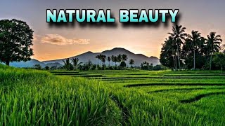 Vlog Natural beauty 4 november 2024 [upl. by Tiersten]