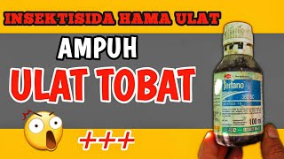 TERBUKTI 95 AMPUH Ulat Tak Berdaya Insektisida Ulat Grayak Ampuh》 INSEKTISIDA TENANO 360 SC [upl. by Denae]