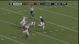 Auburn vs Georgia 2013  Winning TD Auburn Announcers [upl. by Forbes]