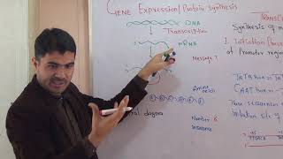 L6 Transcription Gene Expression Protein synthesis part 1 in detail Urdu hindi by Dr Hadi [upl. by Folger]