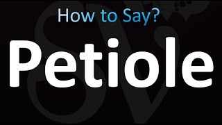 How to Pronounce Petiole Correctly [upl. by Sobmalarah]