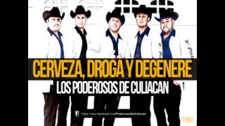 Los Poderosos De Culiacán  Cerveza Droga Y Degenere Audio Oficial [upl. by Herby]