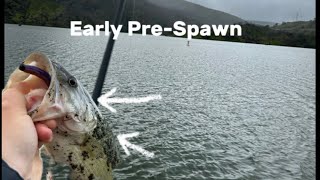 Early PreSpawn Bass Fishing Lake Berryessa [upl. by Nealon315]