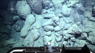 Pillow Lava  Nautilus Live [upl. by Ameyn]