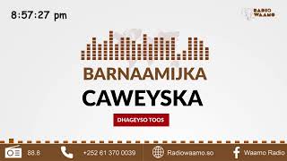 Barnaamijka Caweyska ee Waamo Radio [upl. by Airogerg]