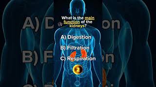 Anatomy Trivia Quiz 1 learning shorts anatomy [upl. by Anilag]