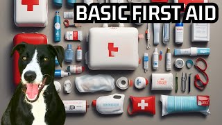 First Aid 101 Essential Skills that Everyone Should Learn [upl. by Allicerp]