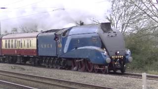 Fast Steam meets Fast Electric Bittern at Tallington [upl. by Barr]