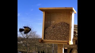 Vogelfutterhaus Bird feeder selber machen do it yourself [upl. by Namar]